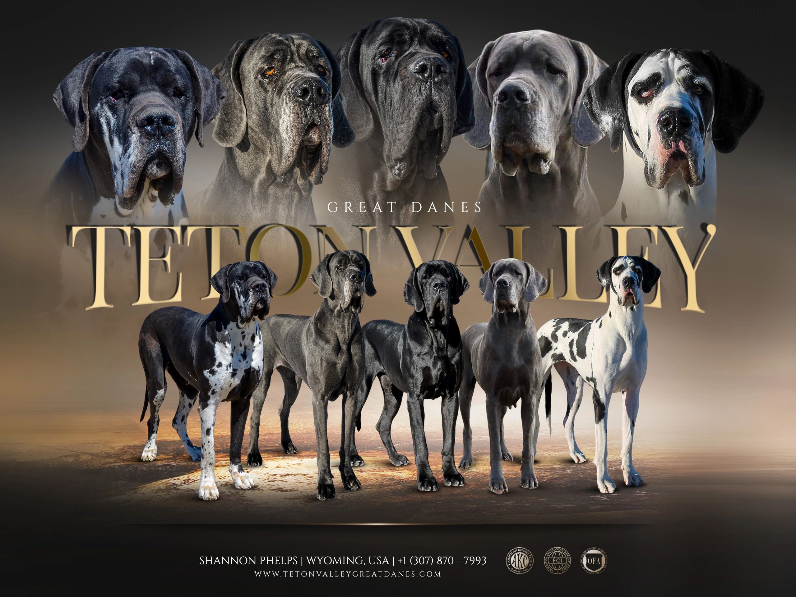 Teton Valley Great Danes Home